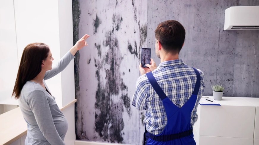 Improve Indoor Air Quality
