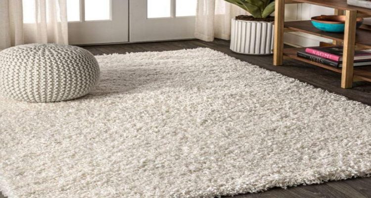 What Makes Shaggy Rugs So Special