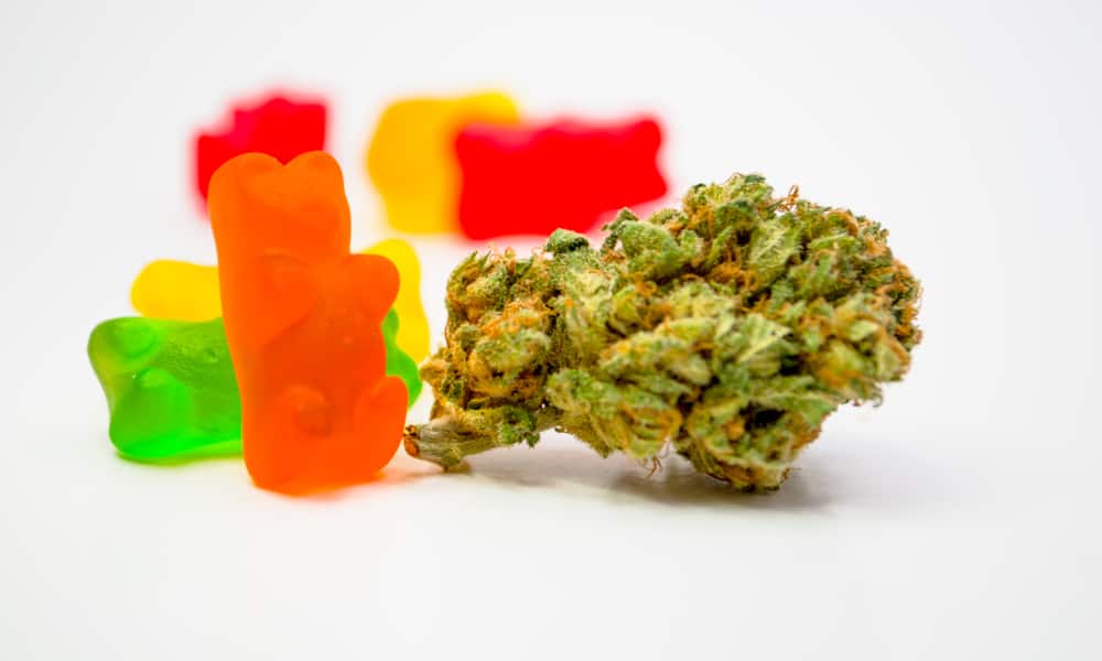 Embracing the Innovation of THC-O Disposables