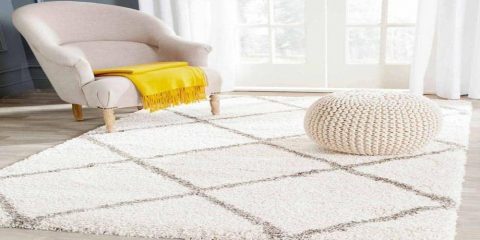 Beneficial truth about Shaggy rugs